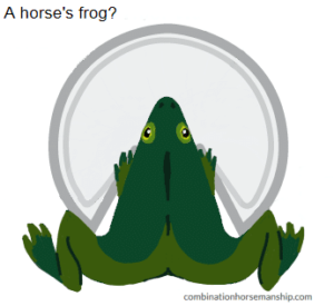 Illustration of how the part of a horse's hoof called the frog might resemble the amphibious animal of the same name