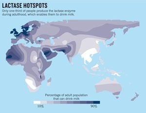 Map of lactose tolerance