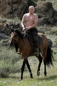 Vladimir Putin shirtless on a horse Vladimir Putin shirtless on a horse