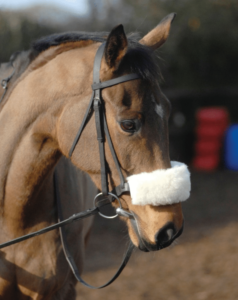 sheepskin noseband