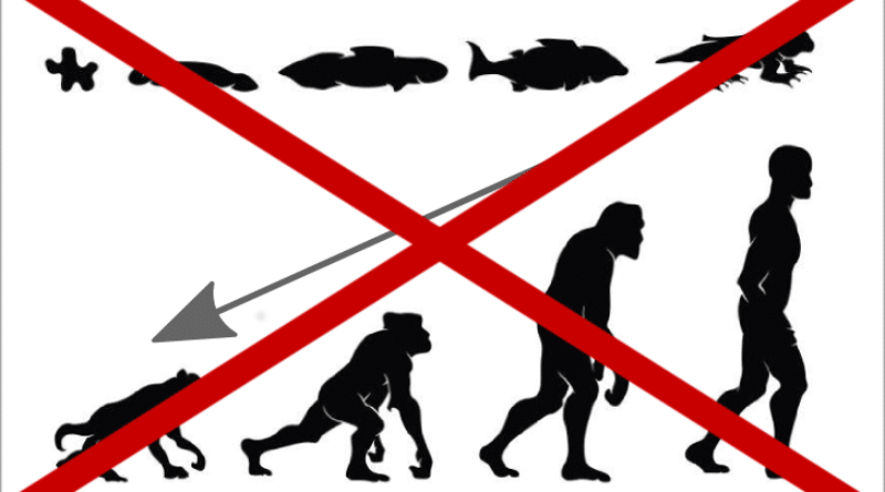 Introduction to Evolution – Part 2: Common Misconceptions