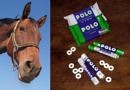 Split image with bay horse head looking down on a blue background on the left and a collection of Polo original and sugar-free Polo multipacks, tubes and individual mints on a wood background on the right