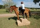 mounting a horse from a mounting block