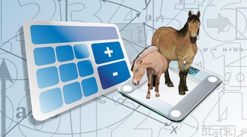 Horse weight calculator