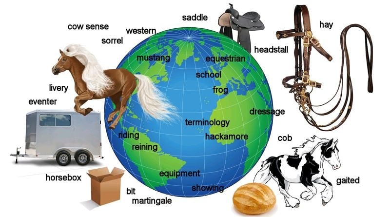 Quiz: World equestrian terminology – how international are you?