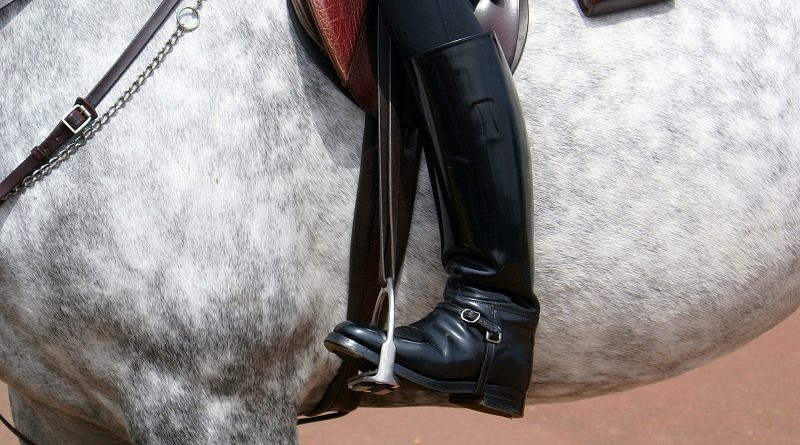 a horse rider's leg