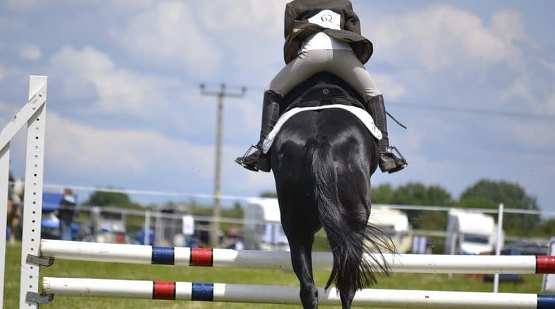 Dressage for Jumping – Part 2