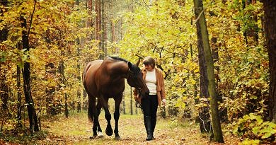 horse and human walking through the woods in autumn